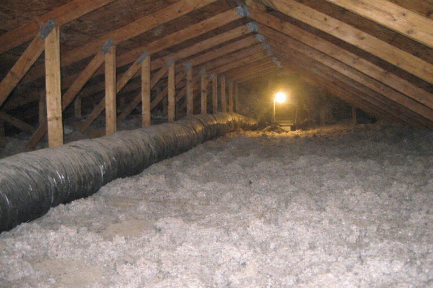 Roof trusses above a floor of gray blown-in insulation in a Phoenix attic