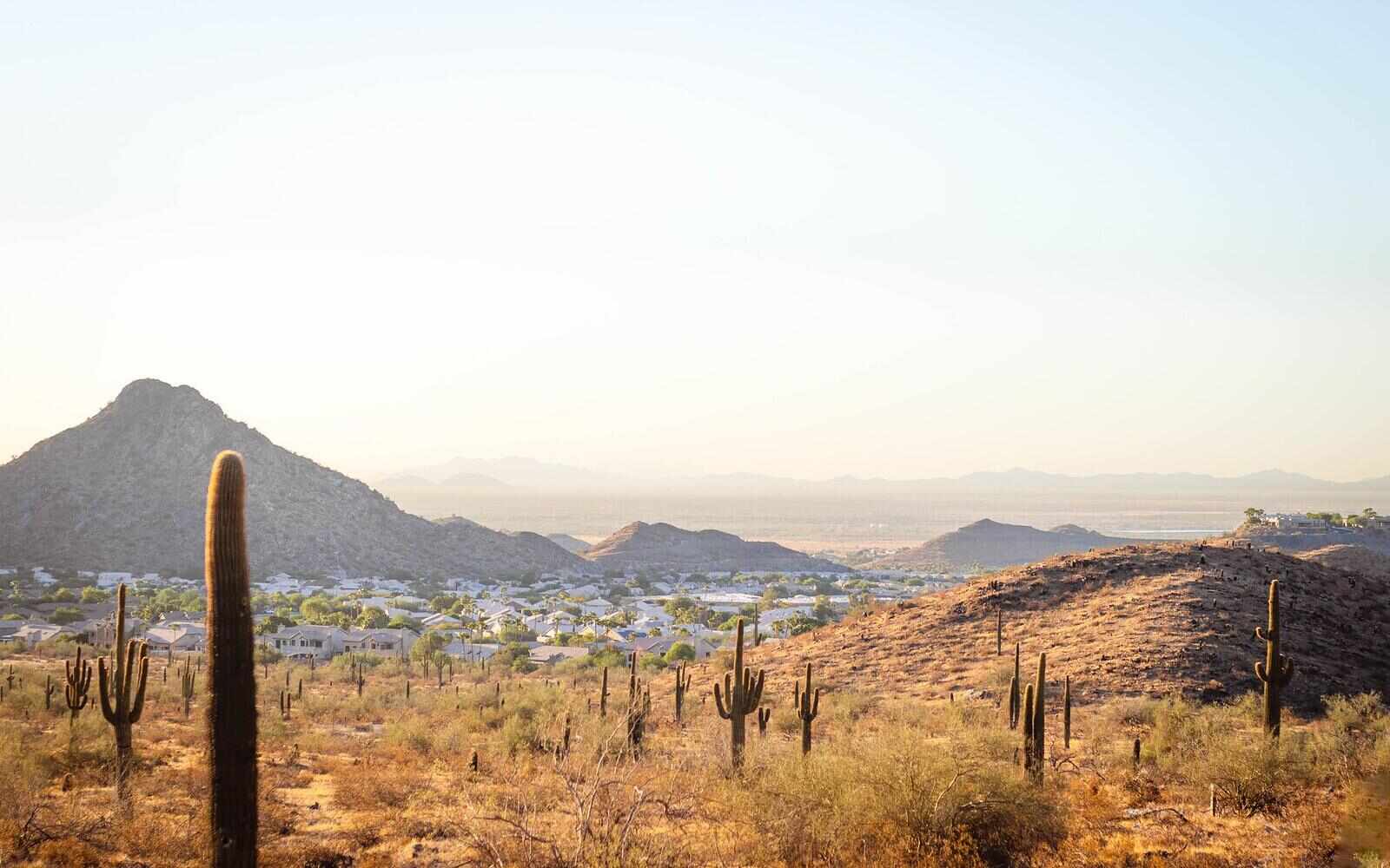 Saguaros and distant mountains in the desert on the edge of the Phoenix valley