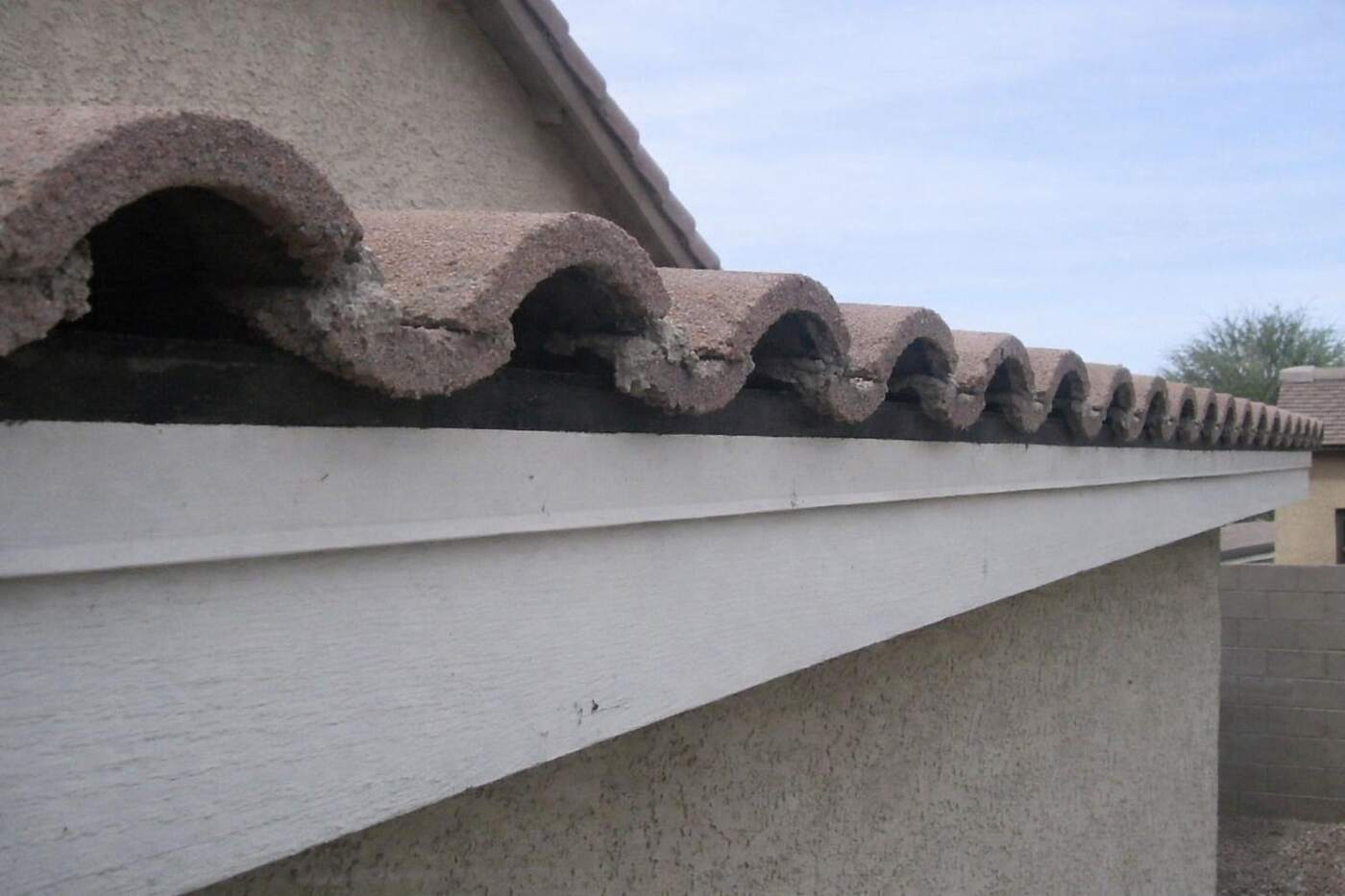 Close view of the first course of barrel tile at an eave, the gap a metal bird stop closes